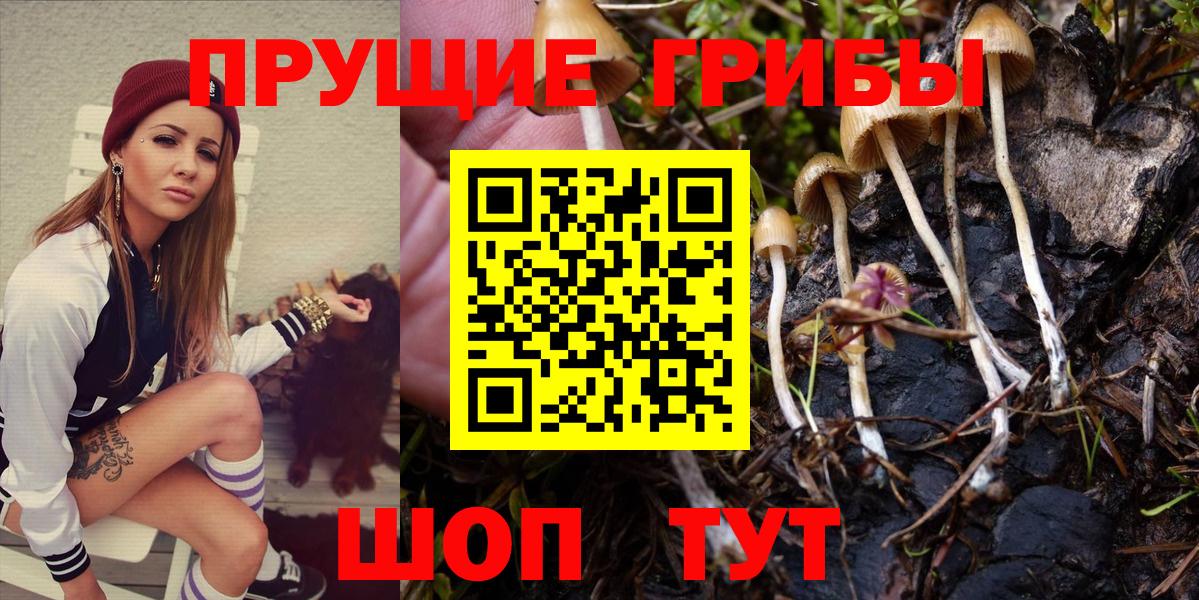 Галлюциногенные грибы Magic Shrooms Майкоп