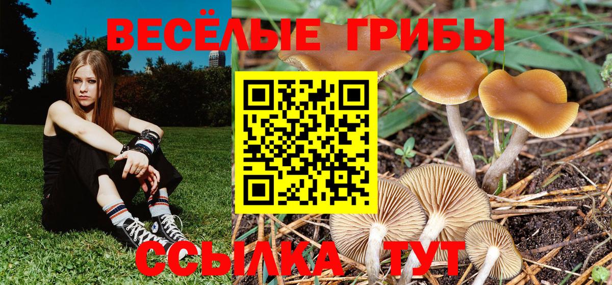 Бошки Шишки  Вейп ТГК  МДМА  Гашиш  Майкоп  Бошки Шишки  ГАШ  Мефедрон   Вход с VPN  КОКАИН 