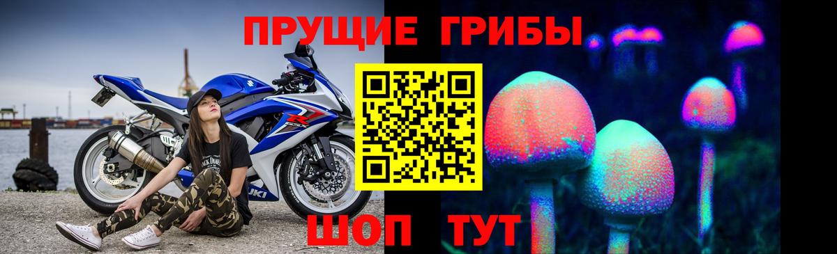 Галлюциногенные грибы Psilocybine cubensis  Вход с VPN  Майкоп 